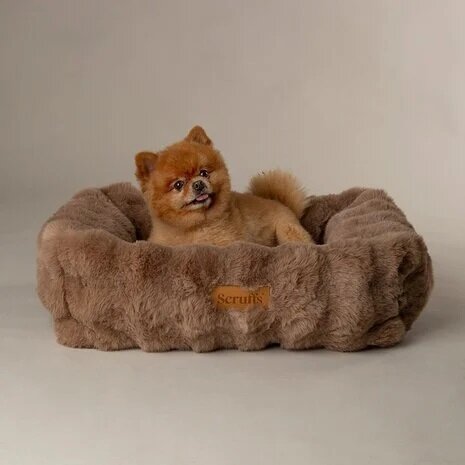 Scruffs Alpina Box Bed Taupe